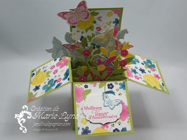 Carteboite1