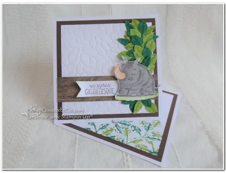 Papierciseauxetcie qsms juin 2018 duos danimaux droite