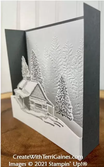 Scenic fun fold card by terri gaines 2